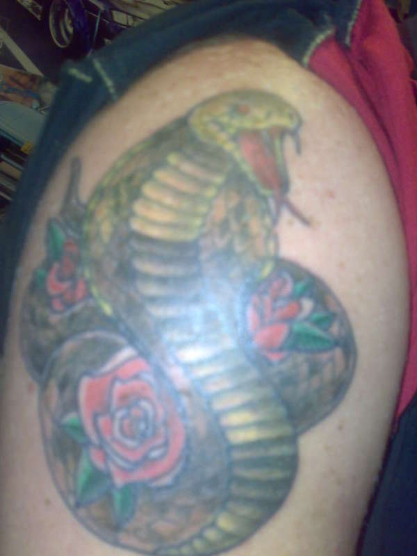 cobra with 3 roses tattoo