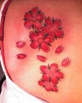 Cherry Blossoms By: Chi-Roc tattoo