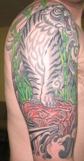 Tiger 1/2 sleeve tattoo