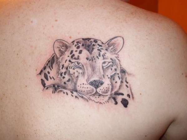 big cats tattoo