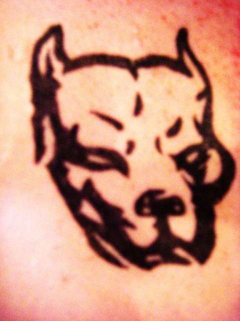 Pitbull tattoo