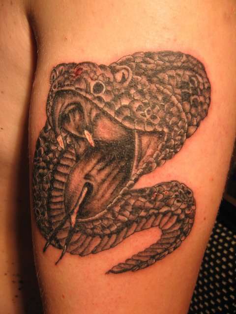 Snake tattoo