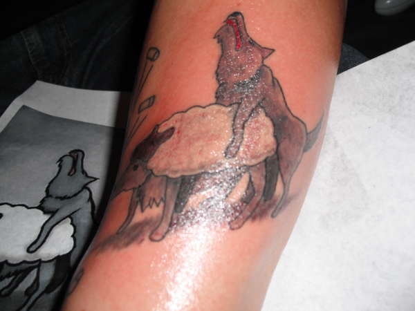 wolf in sheeps clothing tattoo