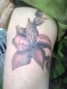 Lilly tattoo