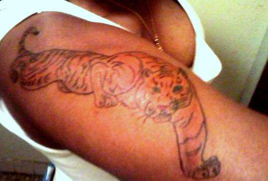 tiger tatt tattoo