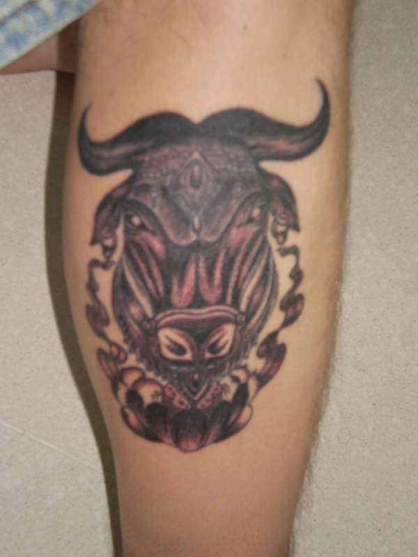Brahma Bull tattoo