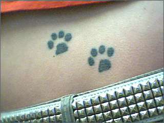 kitten paws tattoo
