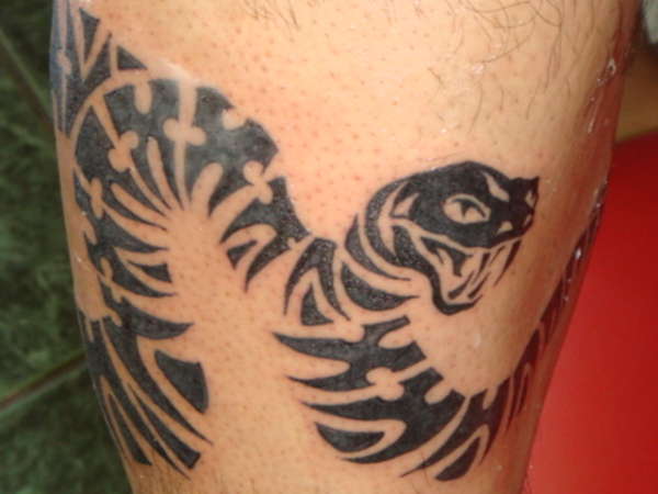 snake in the grass tattoo