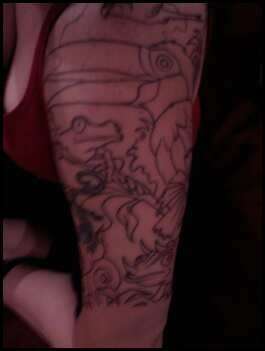 Rainforest 1/2 Sleeve tattoo