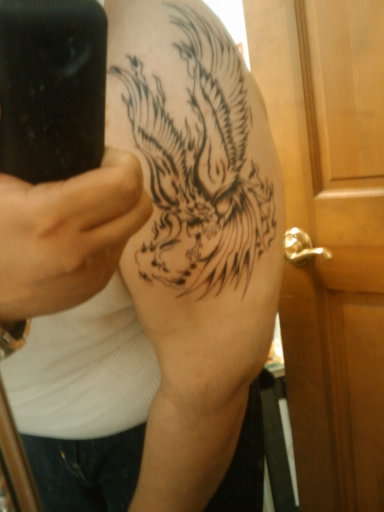 This A Pic Of My New Phoenix Tattoo. Not Done. tattoo