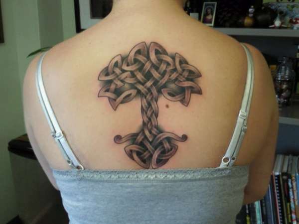 celtic tree of life tattoo