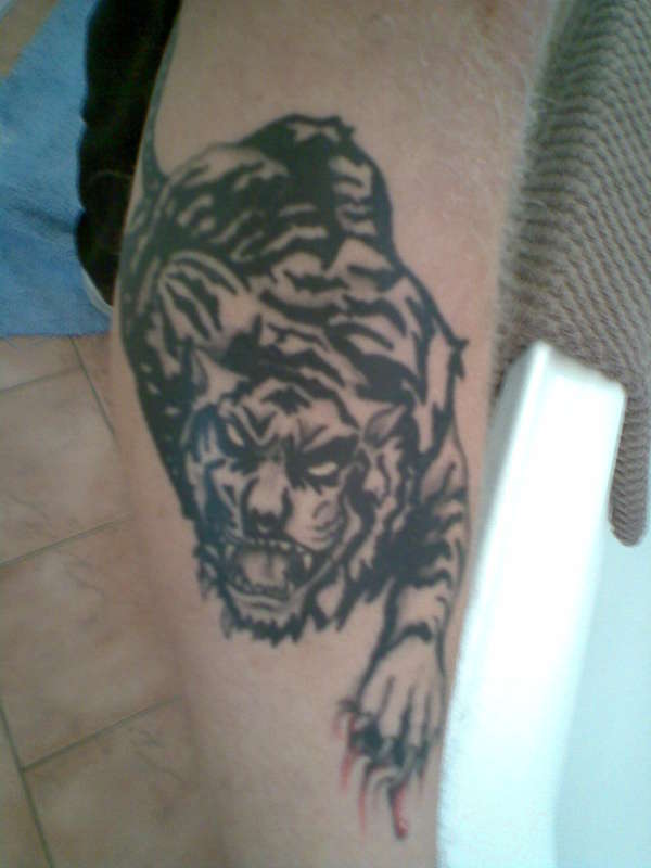 Tiger tattoo