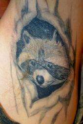coon pit tattoo