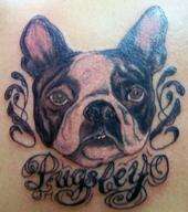 doggy portrait tattoo