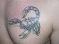 scorpion tattoo