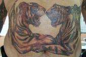tiger belly tattoo