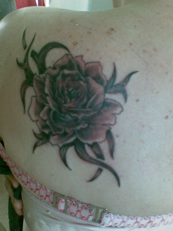rose on back tattoo