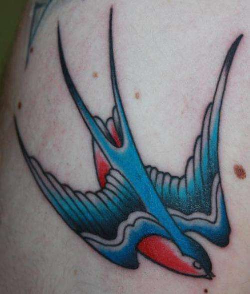 swallow tattoo