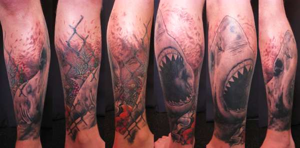 shark (colour still to go) tattoo