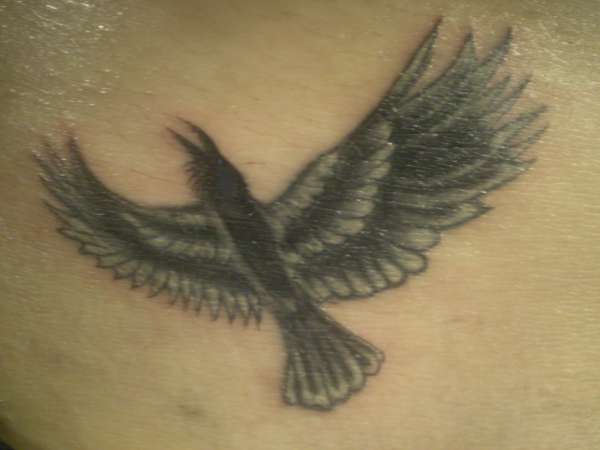 Raven bird tattoo