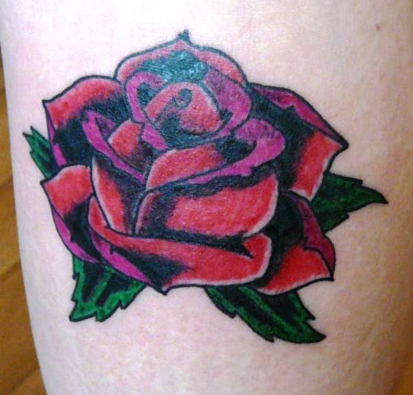 rose tattoo