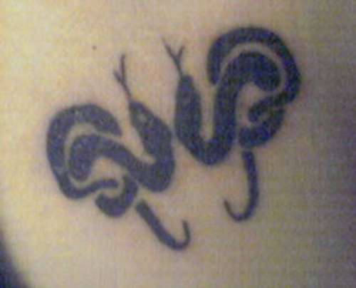 Twin Snakes tattoo