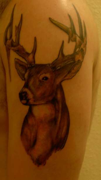Whitetail Buck tattoo