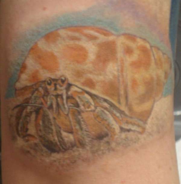 Hermit Crab tattoo