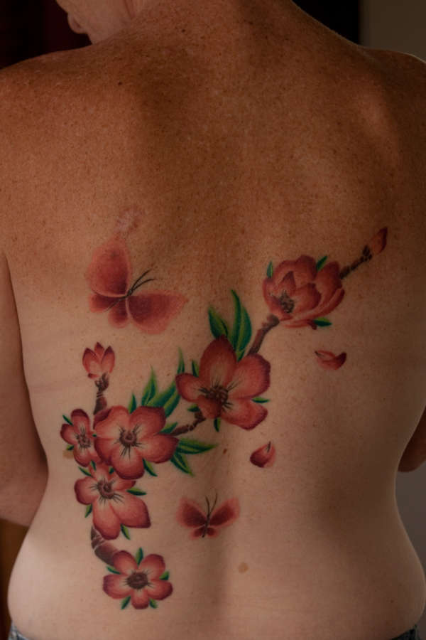 Cherry Blossom/Butterflies tattoo