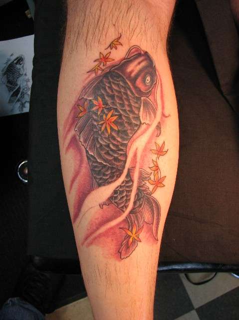 another koi tattoo