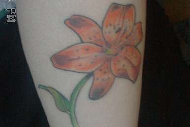 Wild Tiger Lily tattoo