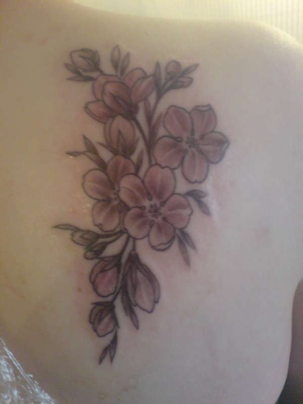 cherry blossoms tattoo