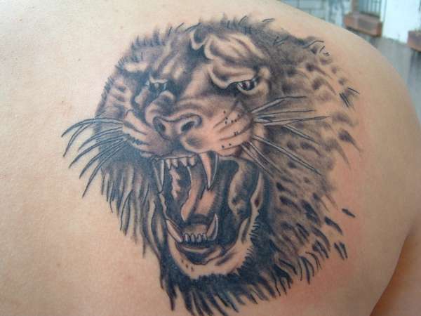 Nycole's Lion tattoo