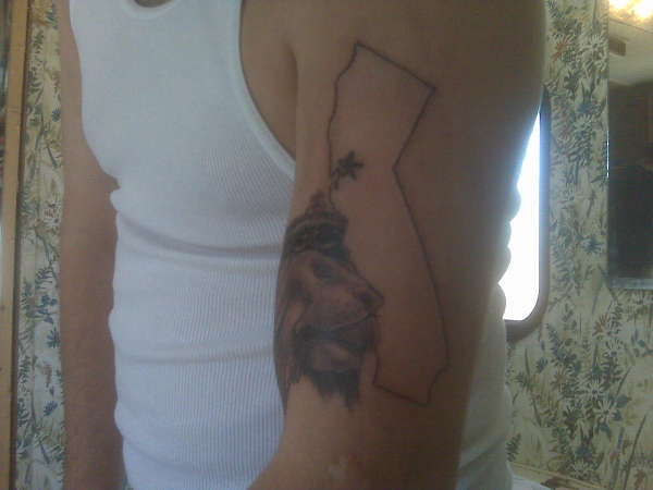 the start of my sleee tattoo