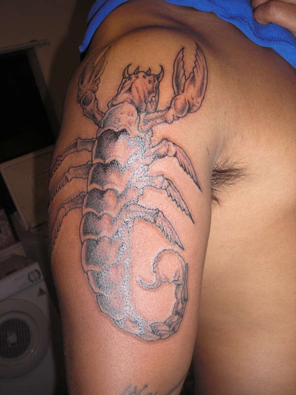 scorpion??lol tattoo