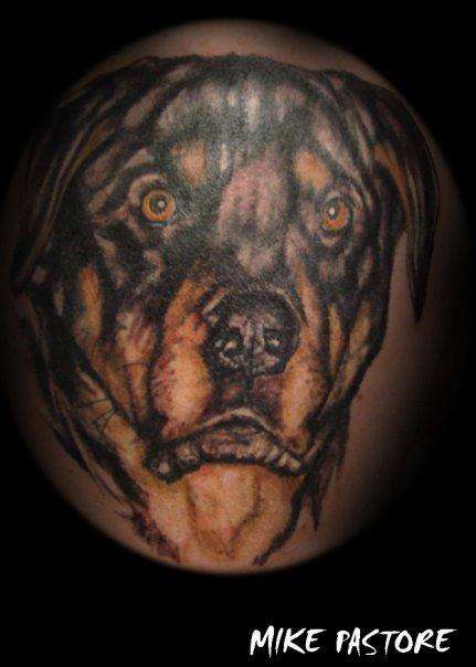 dog tattoo