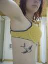 swallow tattoo