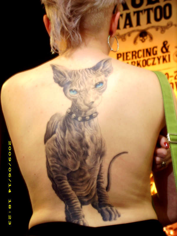 Sphinx Cat tattoo