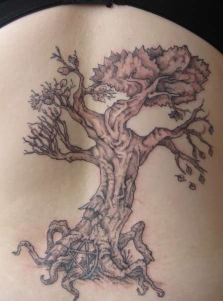Tree on pentagram. tattoo