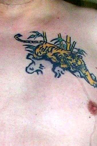 Lion tattoo