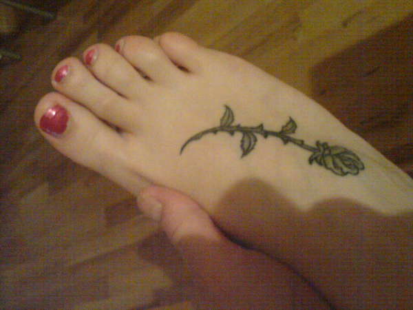 Rose Tattoo tattoo