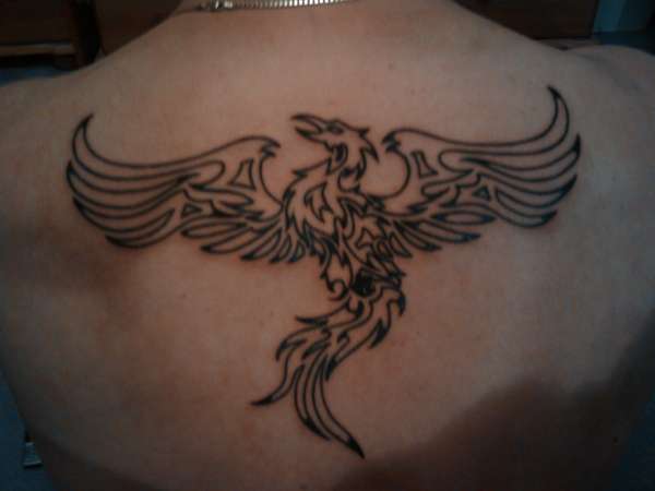 My phoenix tattoo
