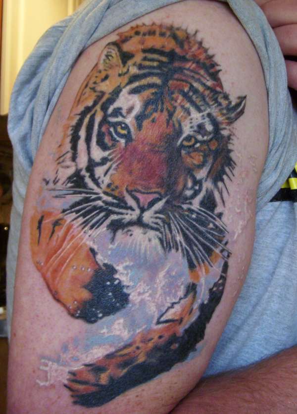 Tiger running through water / Healed tattoo