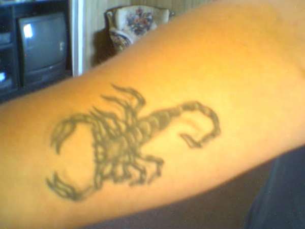 scorpion tat tattoo