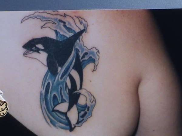 My first orca...... tattoo