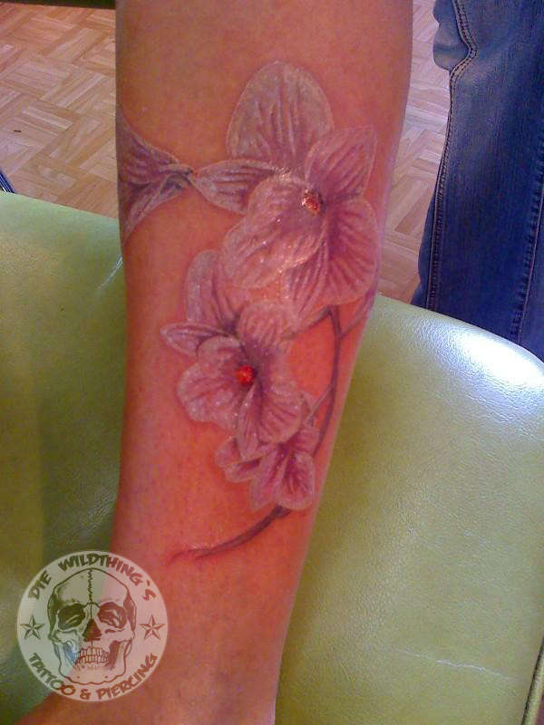 dendrobium-orchidee tattoo