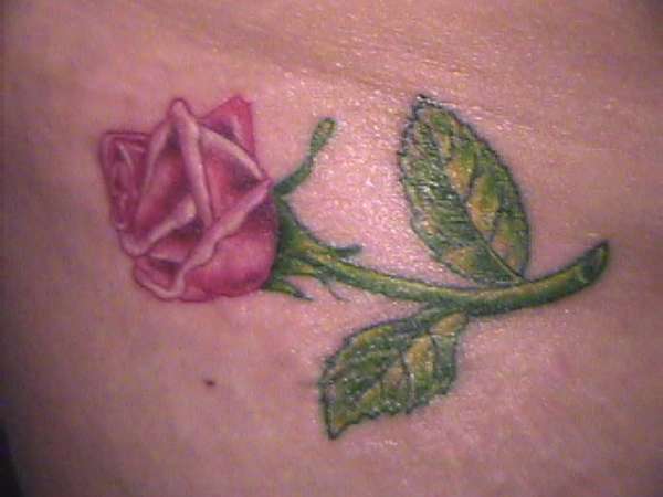 Rose tattoo tattoo