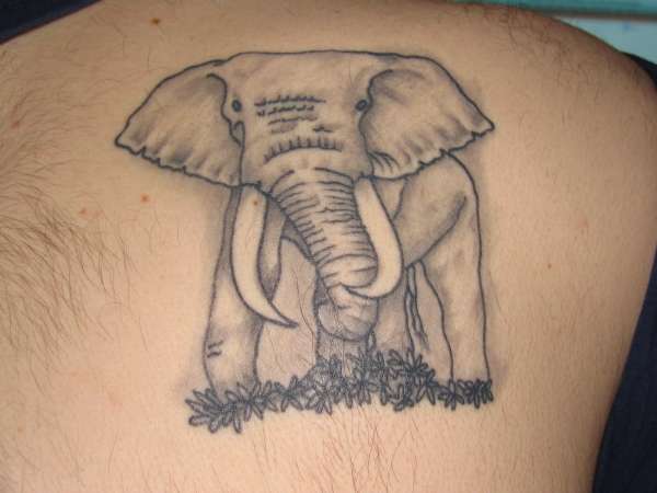 My Elephant tattoo