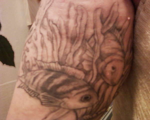 upper right arm tattoo