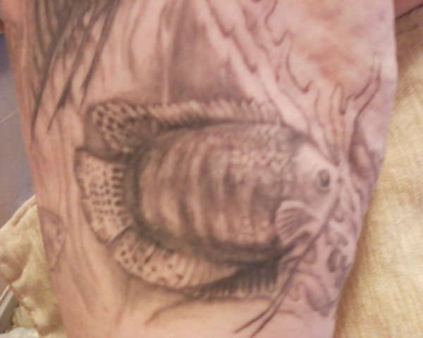 upper right arm tattoo